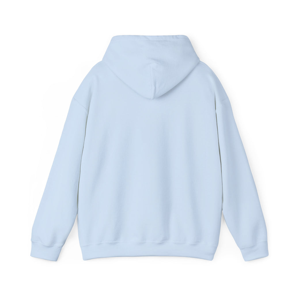 Custom your own hoodie (text only) — check description for instructions