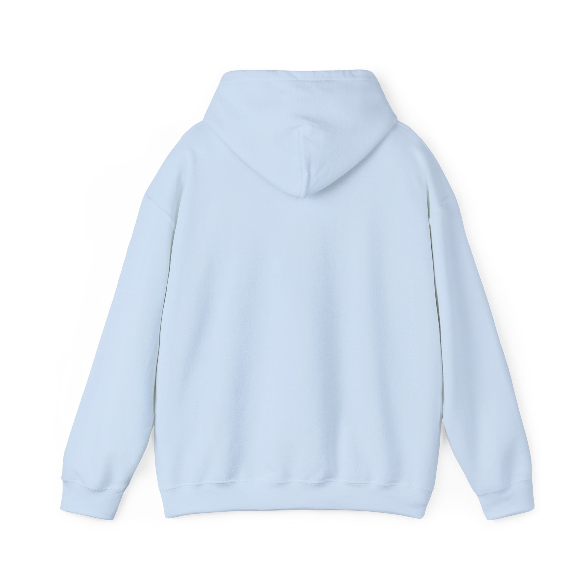 Custom your own hoodie (text only) — check description for instructions