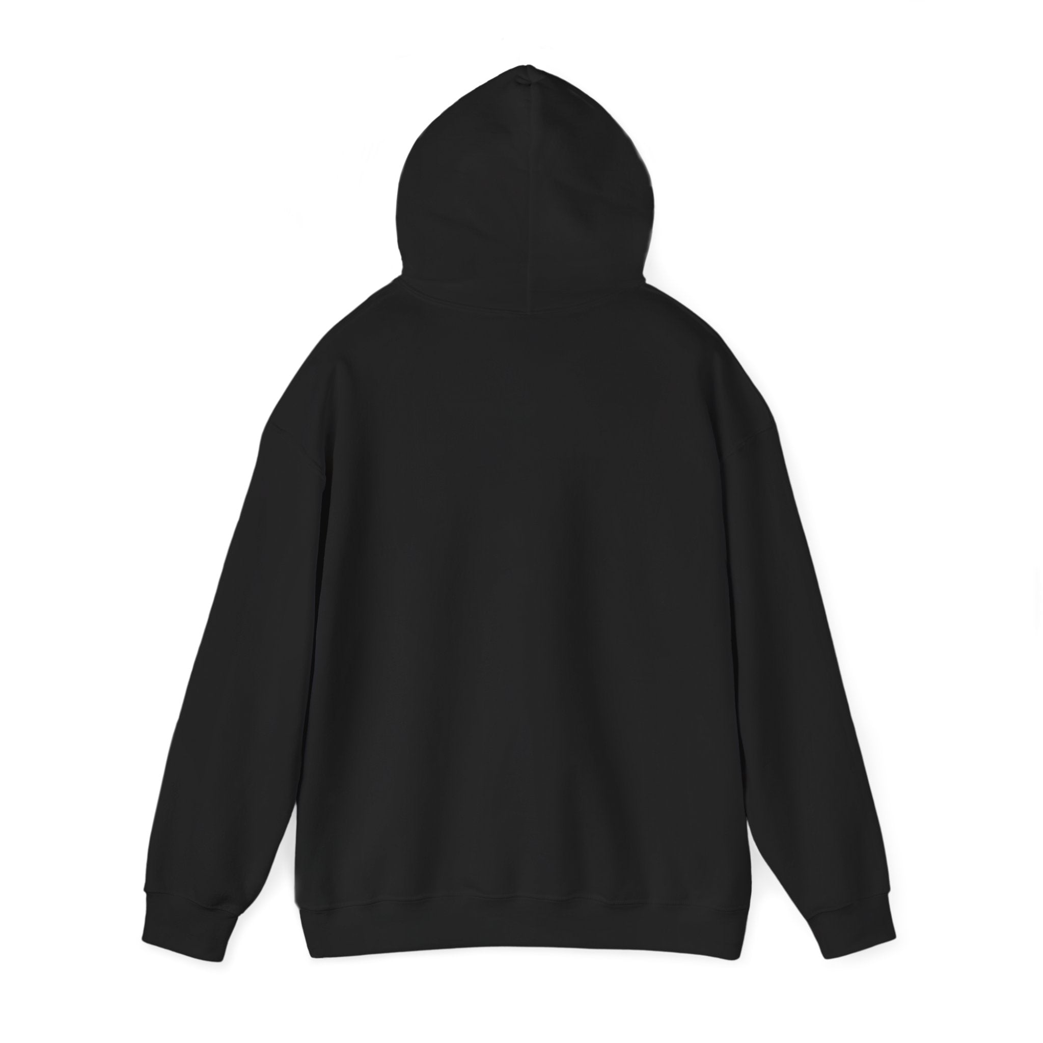Custom your own hoodie (text only) — check description for instructions