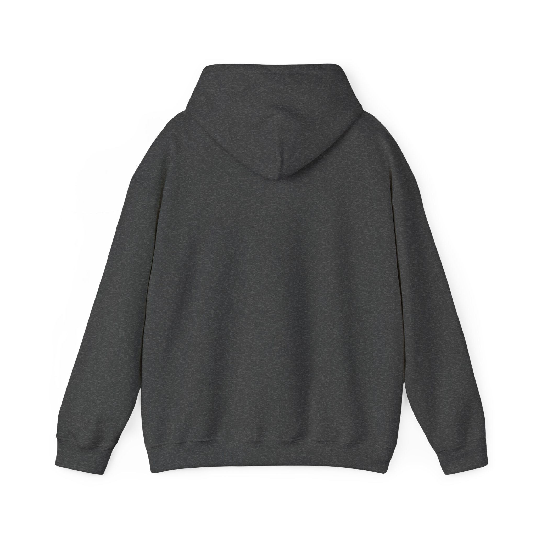 Custom your own hoodie (text only) — check description for instructions