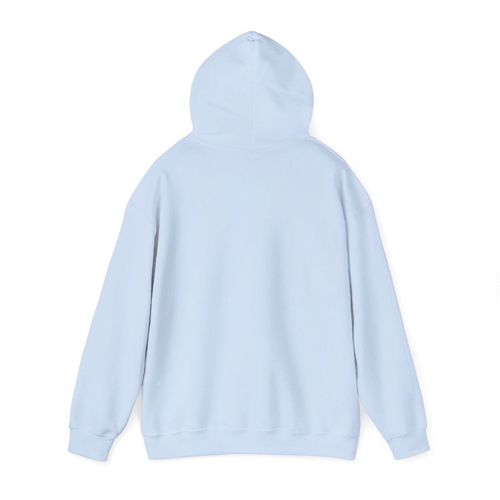 Custom your own hoodie (text only) — check description for instructions