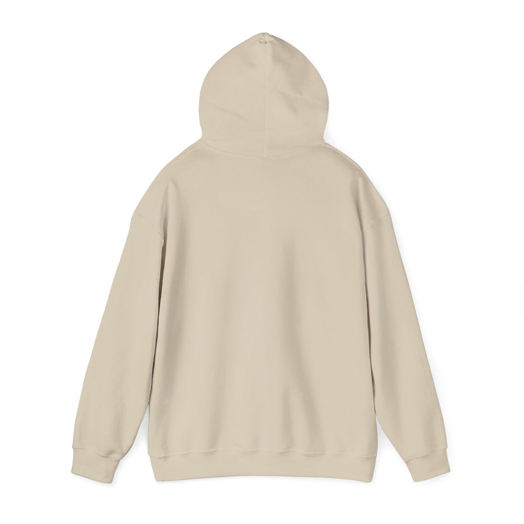 Custom your own hoodie (text only) — check description for instructions