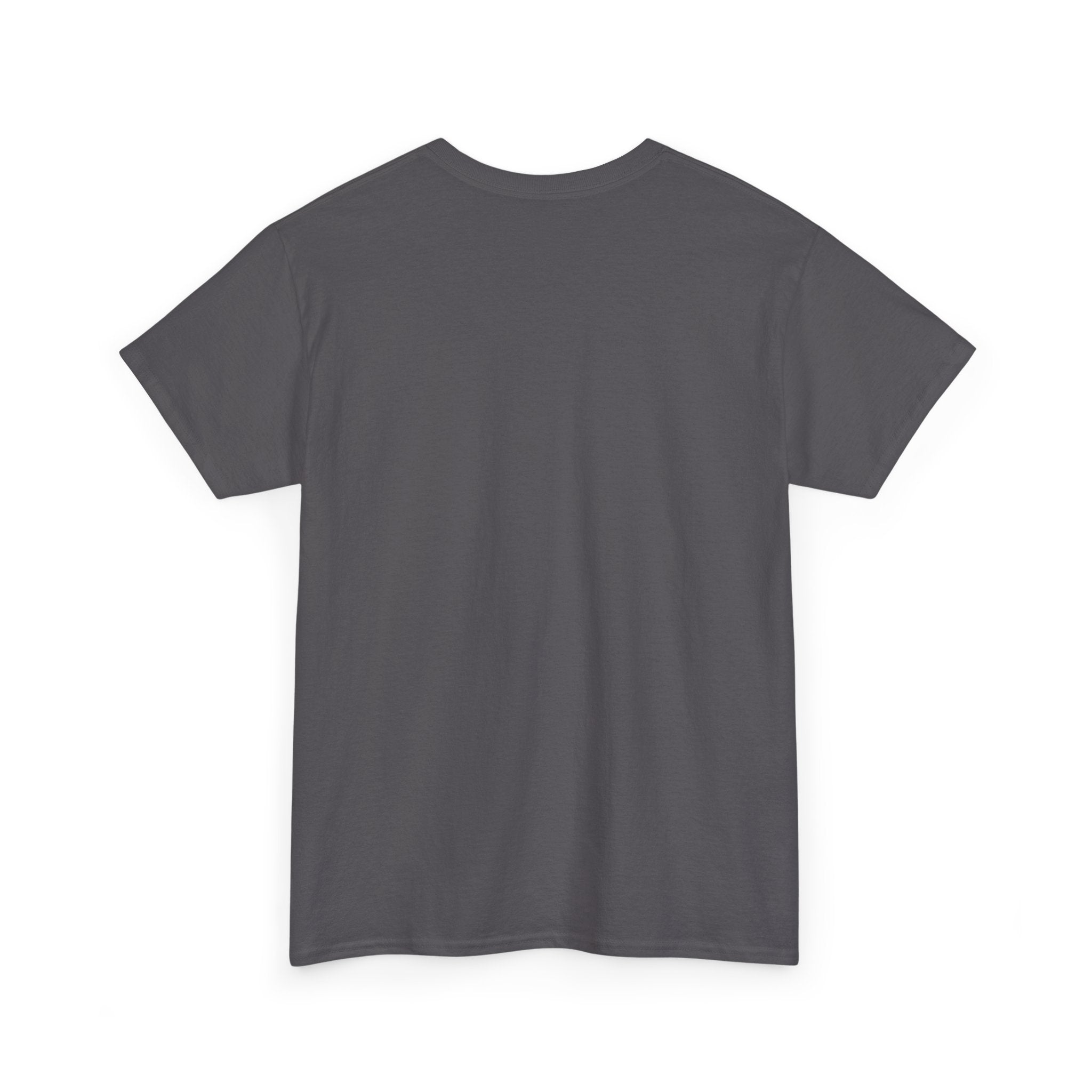 Customize your own T-Shirt (text only) - check description for instructions