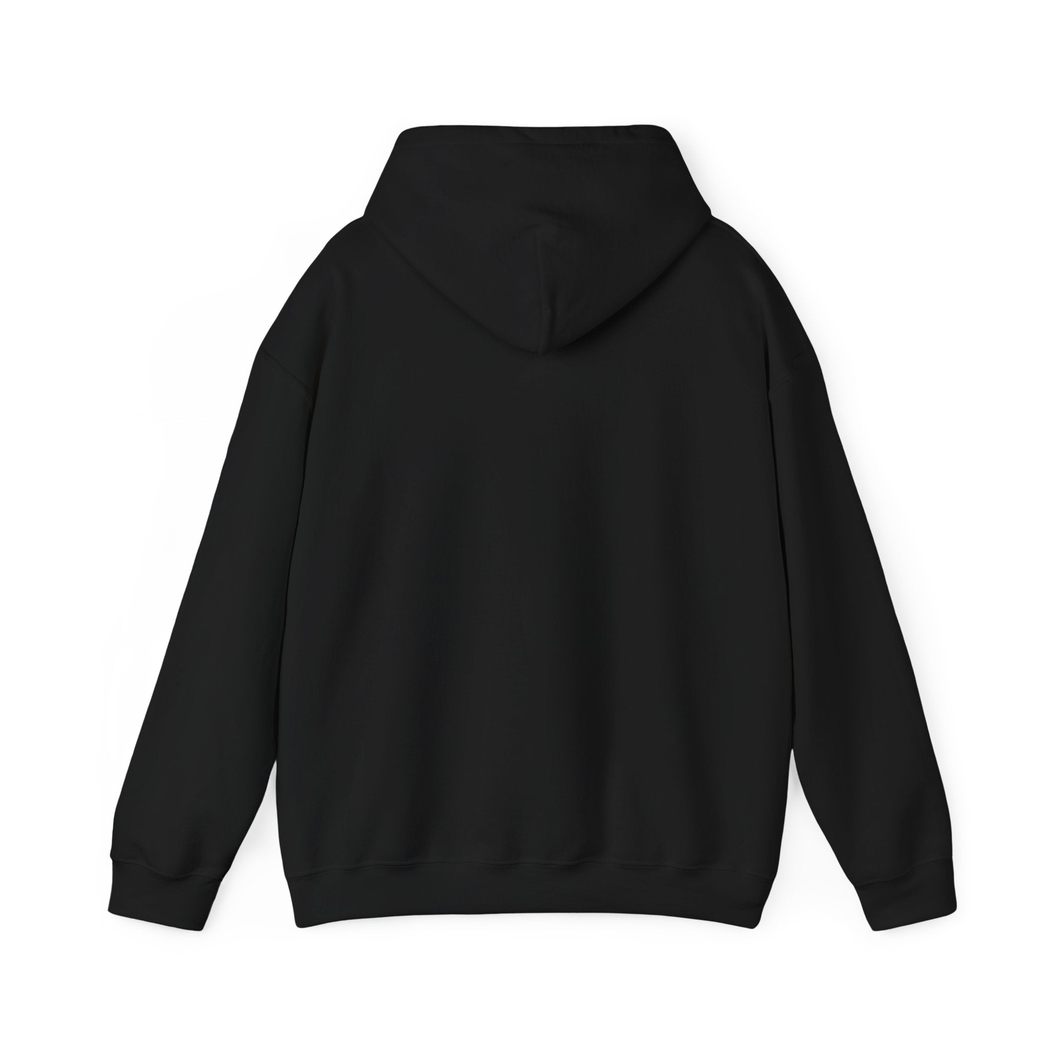 Custom your own hoodie (text only) — check description for instructions