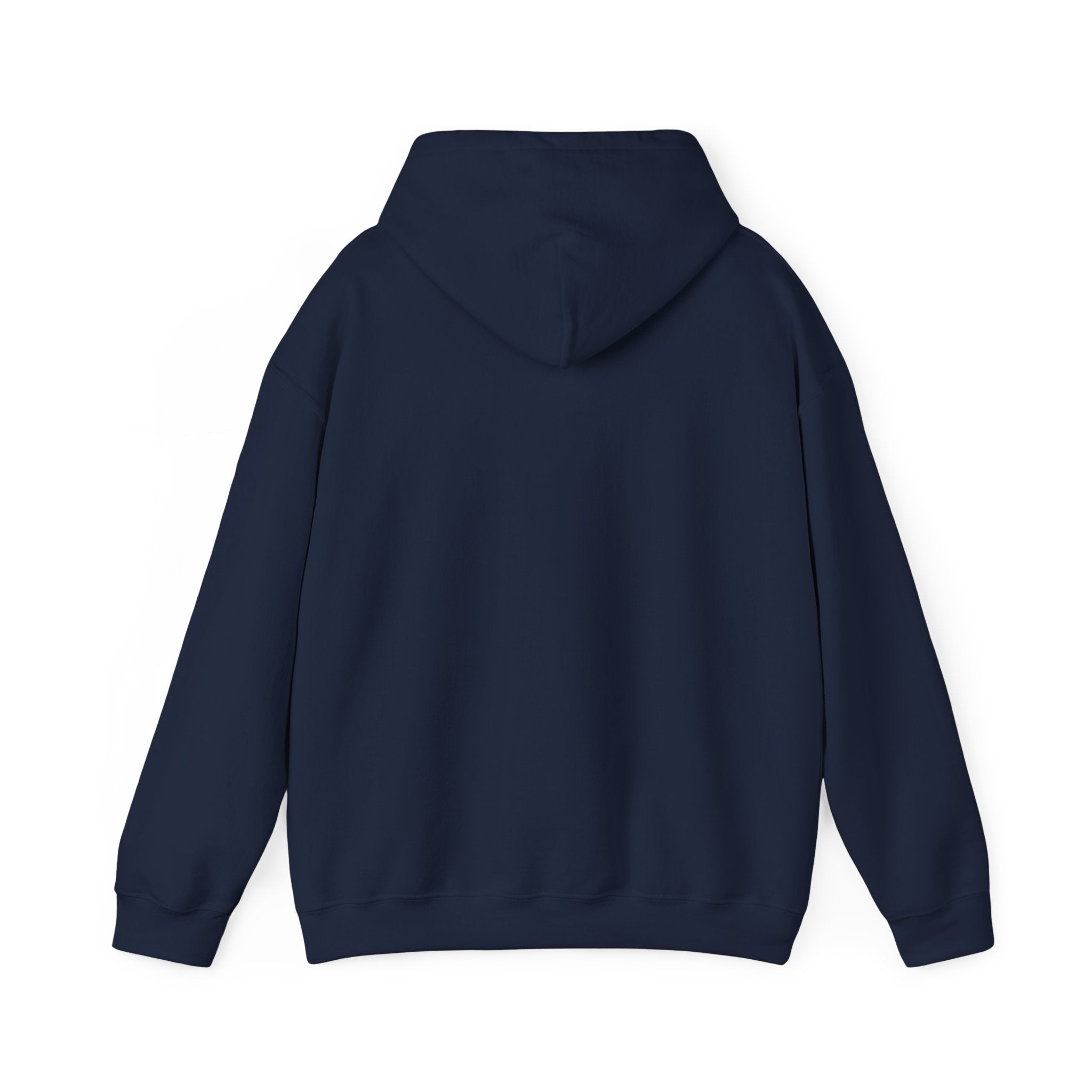 Custom your own hoodie (text only) — check description for instructions
