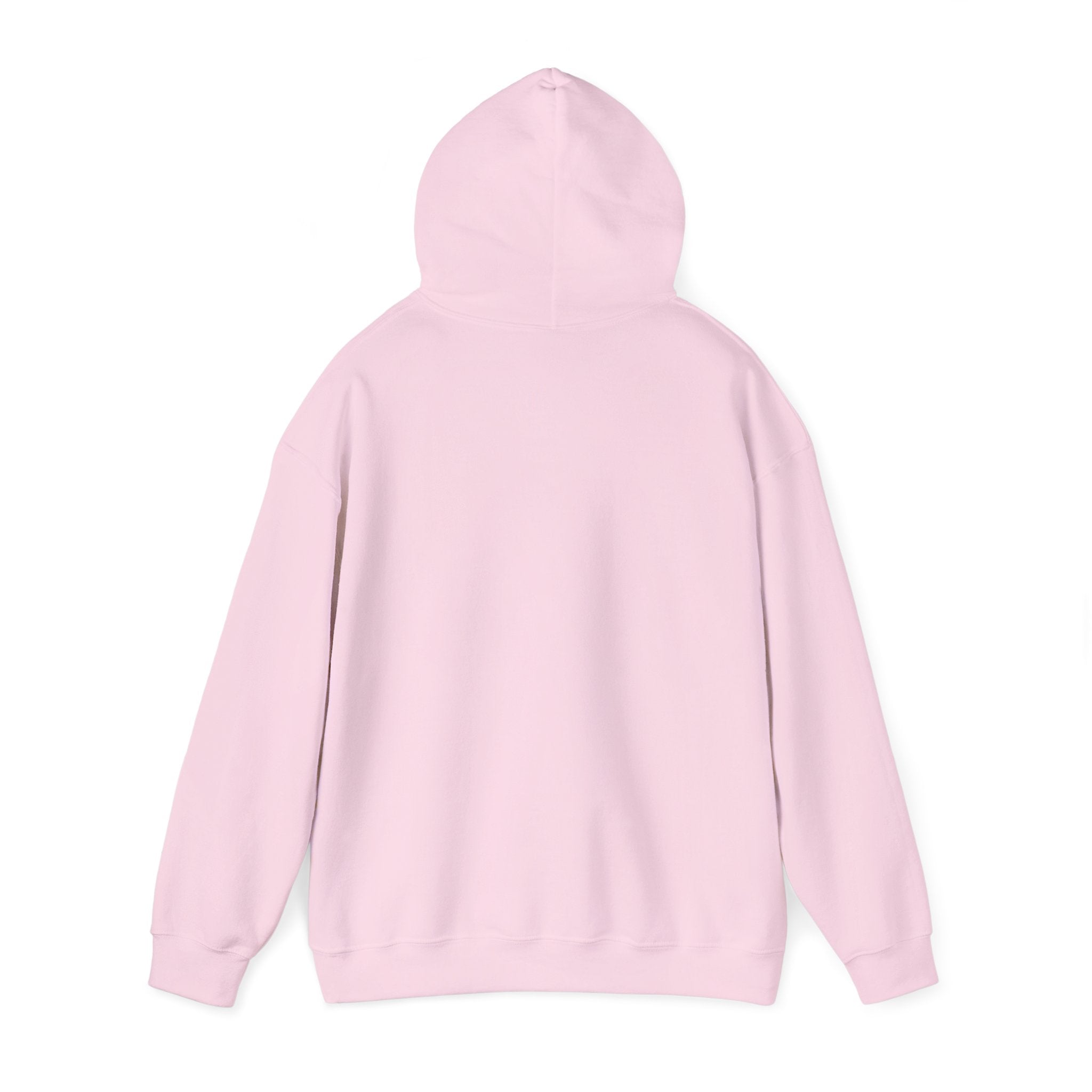 Custom your own hoodie (text only) — check description for instructions