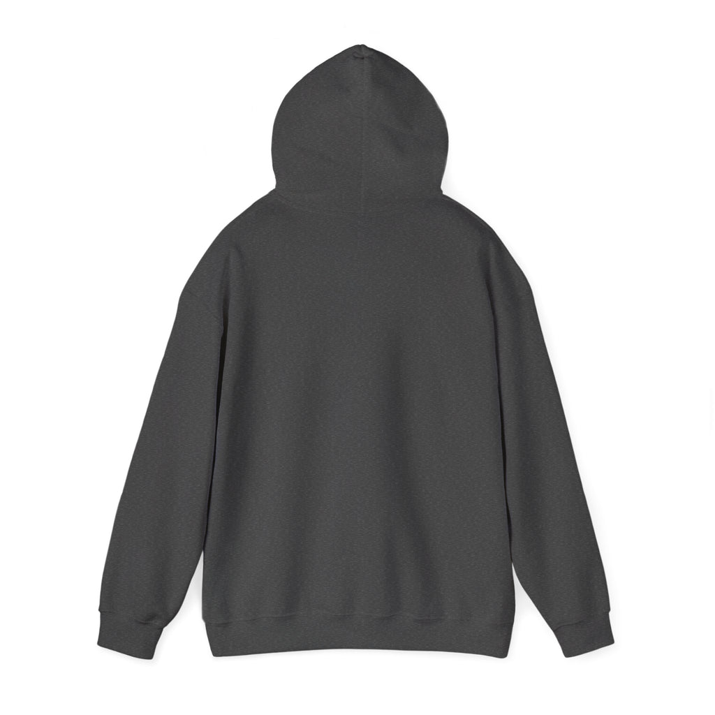 Custom your own hoodie (text only) — check description for instructions