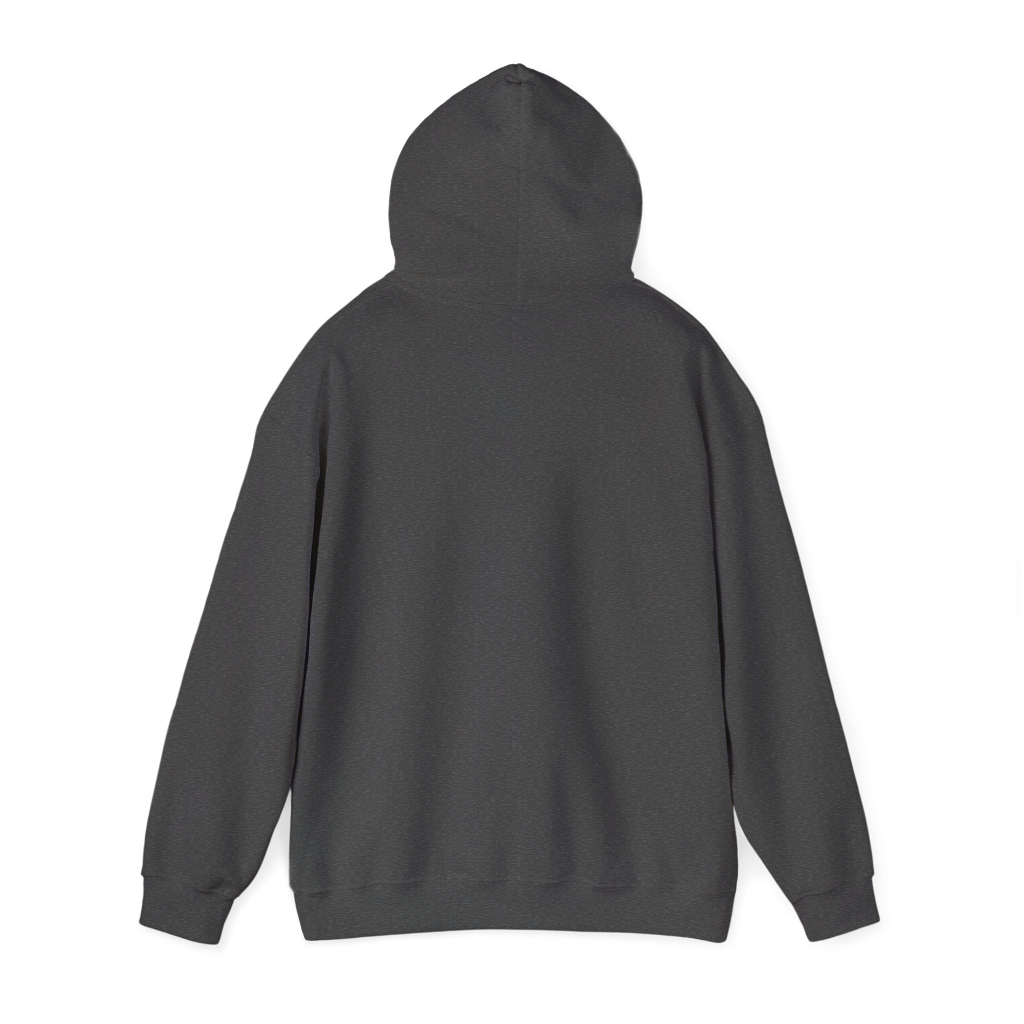 Custom your own hoodie (text only) — check description for instructions