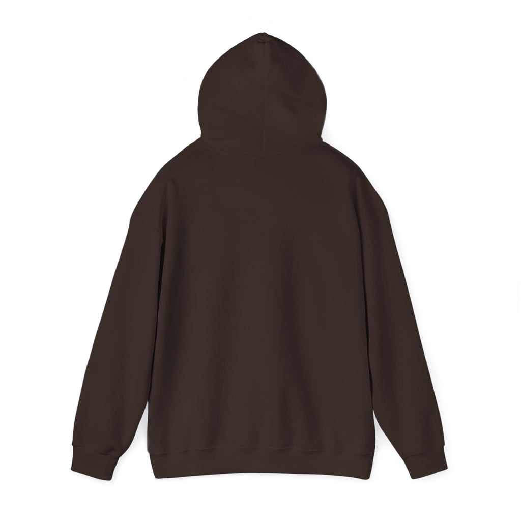 Custom your own hoodie (text only) — check description for instructions