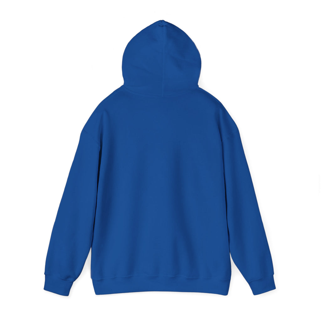Custom your own hoodie (text only) — check description for instructions