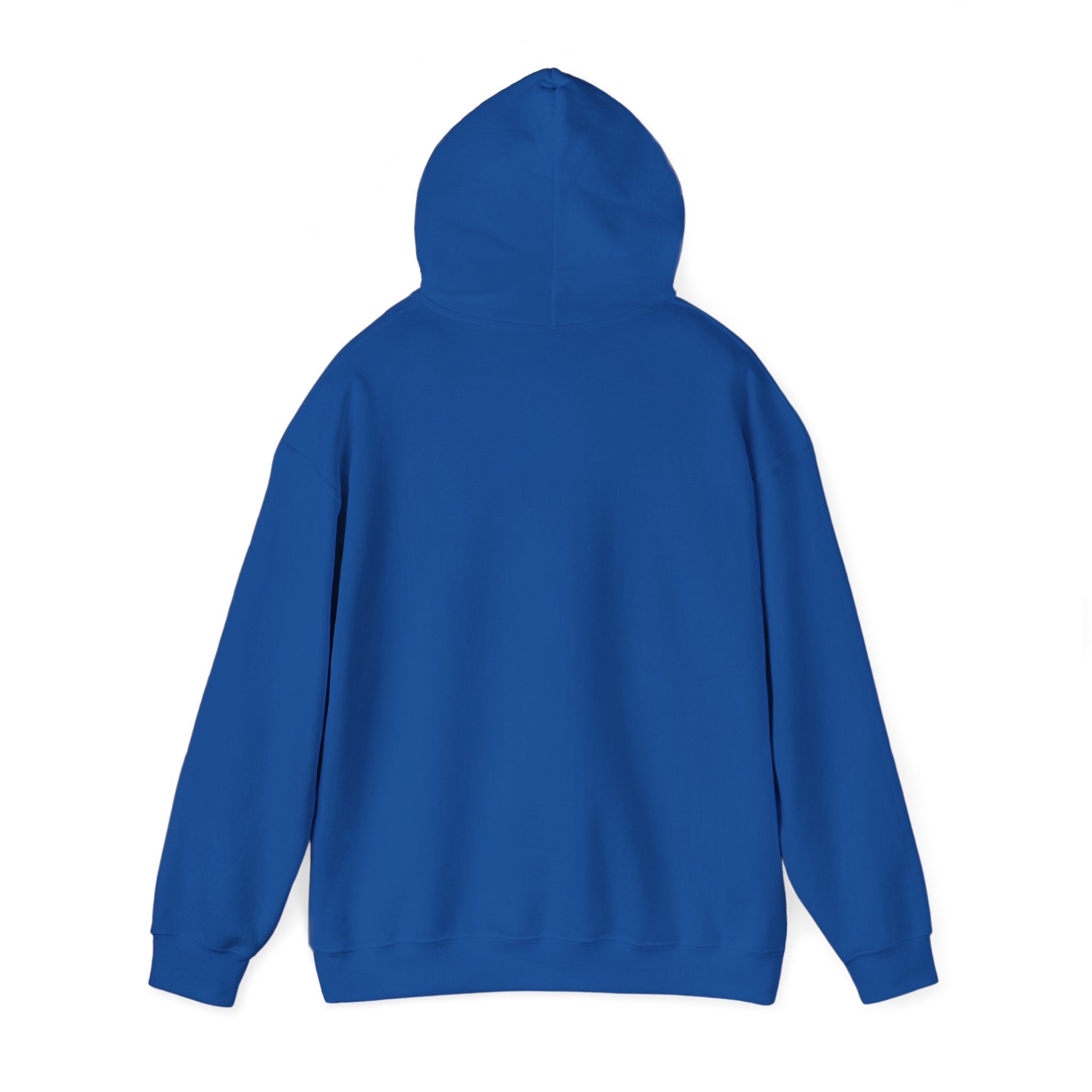 Custom your own hoodie (text only) — check description for instructions