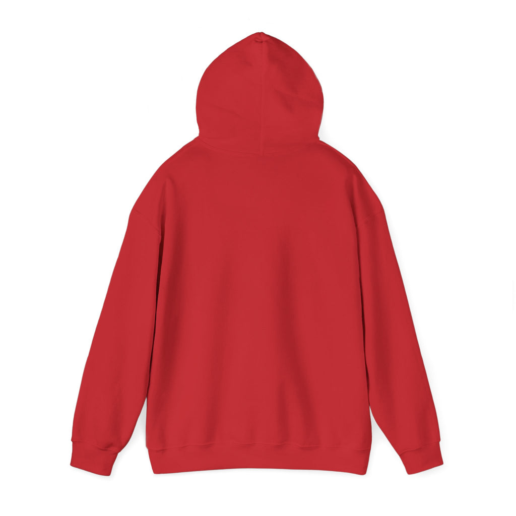 Custom your own hoodie (text only) — check description for instructions