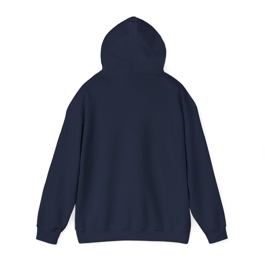 Custom your own hoodie (text only) — check description for instructions