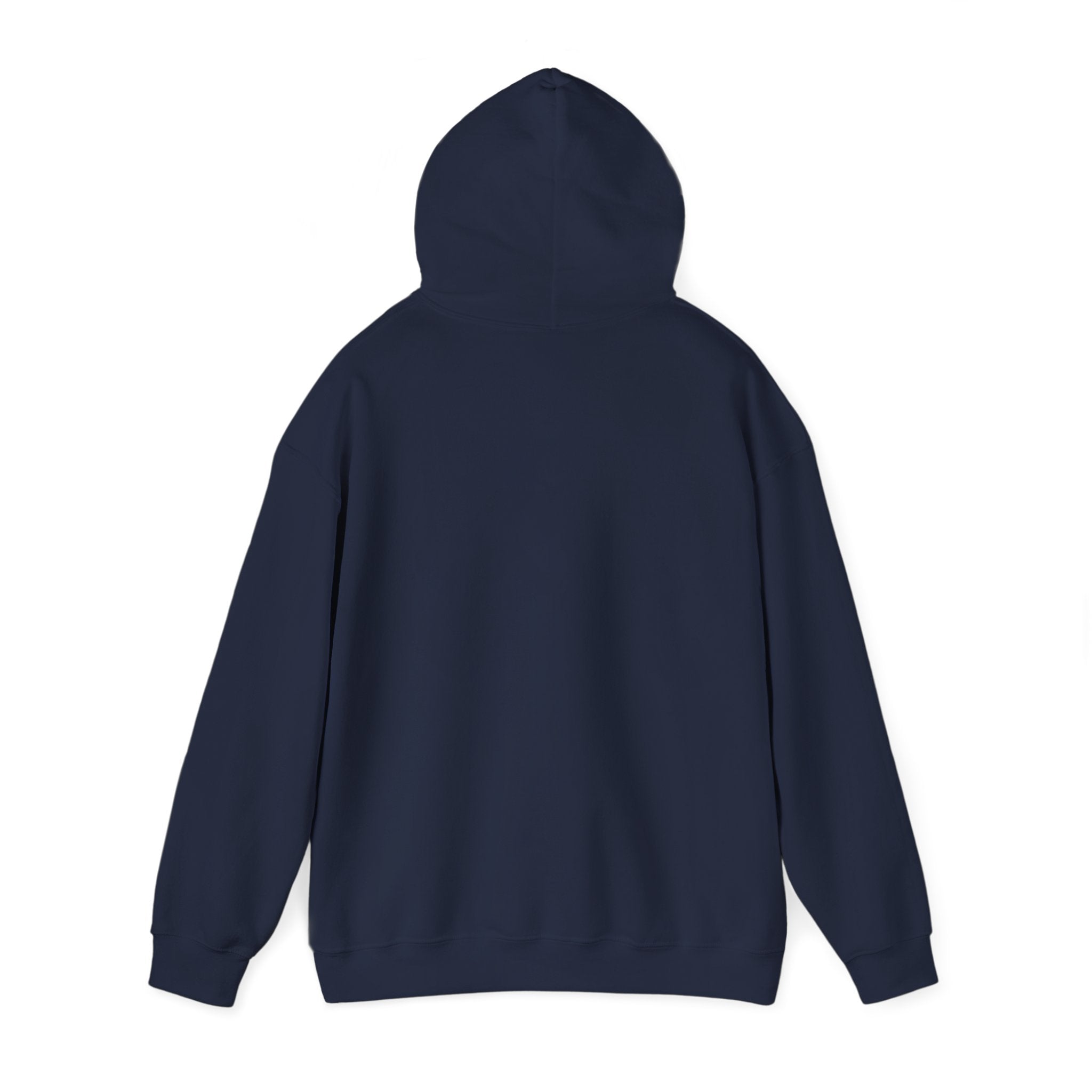 Custom your own hoodie (text only) — check description for instructions