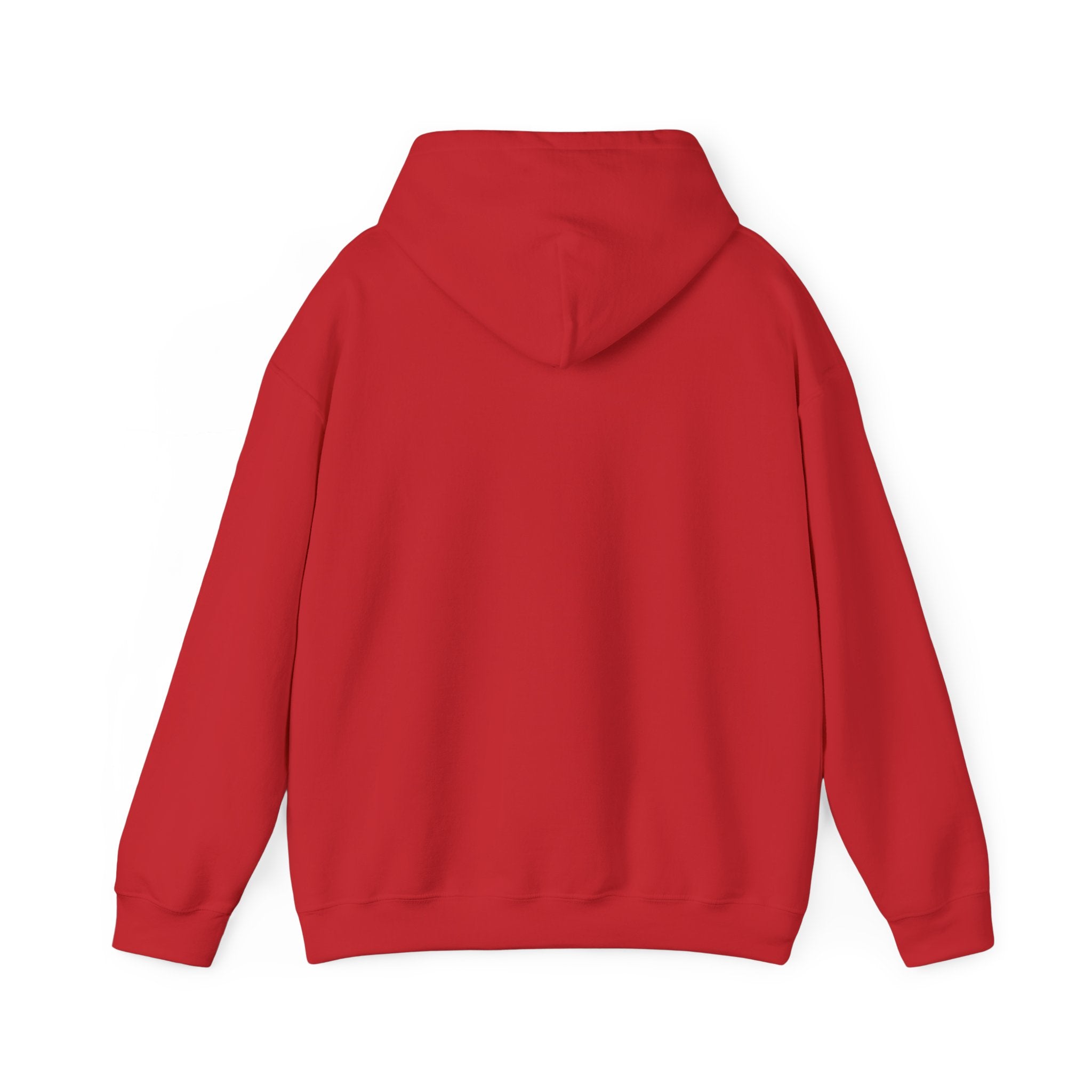 Custom your own hoodie (text only) — check description for instructions