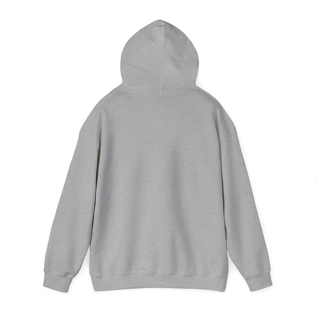 Custom your own hoodie (text only) — check description for instructions