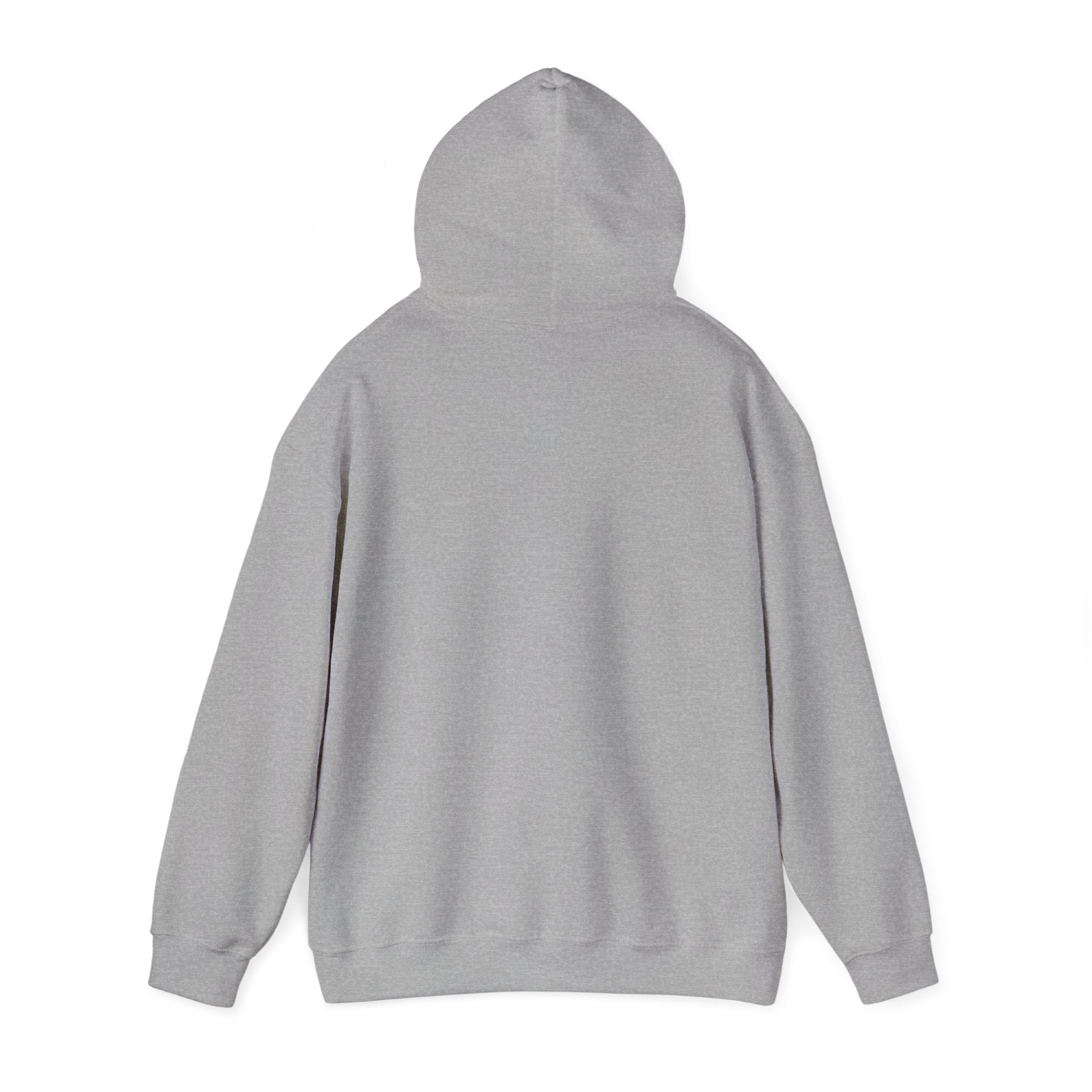 Custom your own hoodie (text only) — check description for instructions