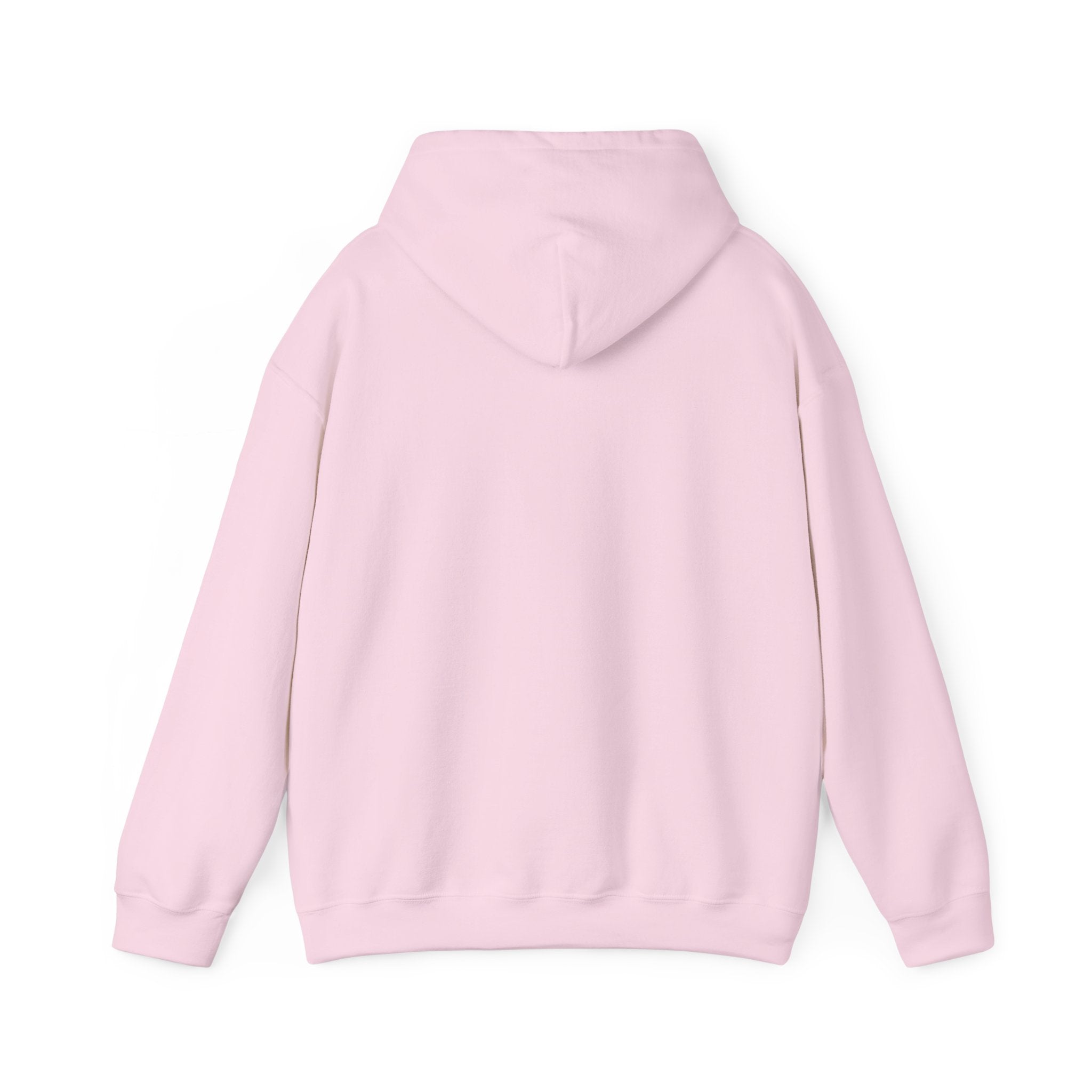 Custom your own hoodie (text only) — check description for instructions