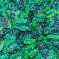 Sour blue raspberry rainbow bites 8 oz